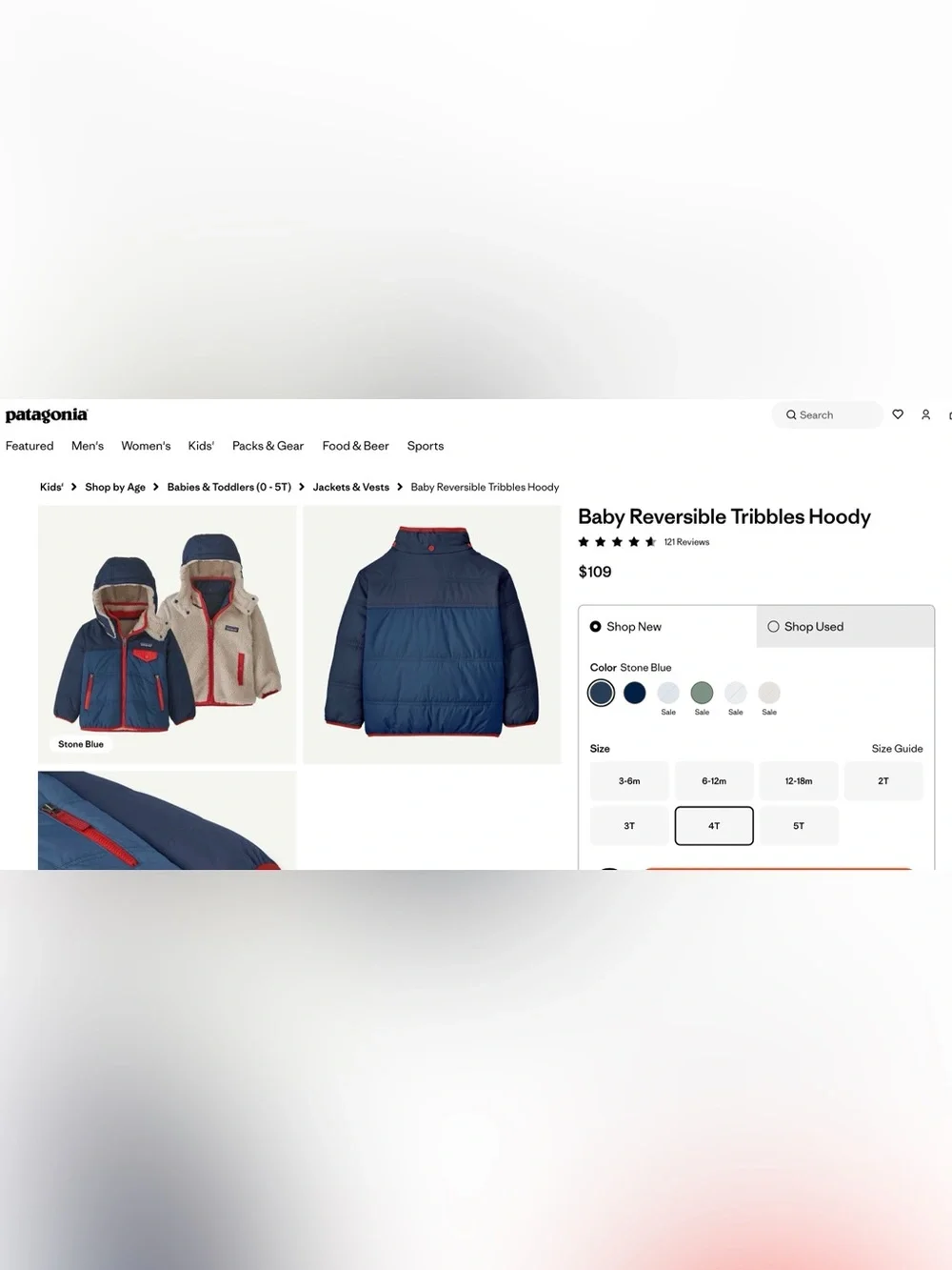 Patagonia Reversible Jacket, 4T